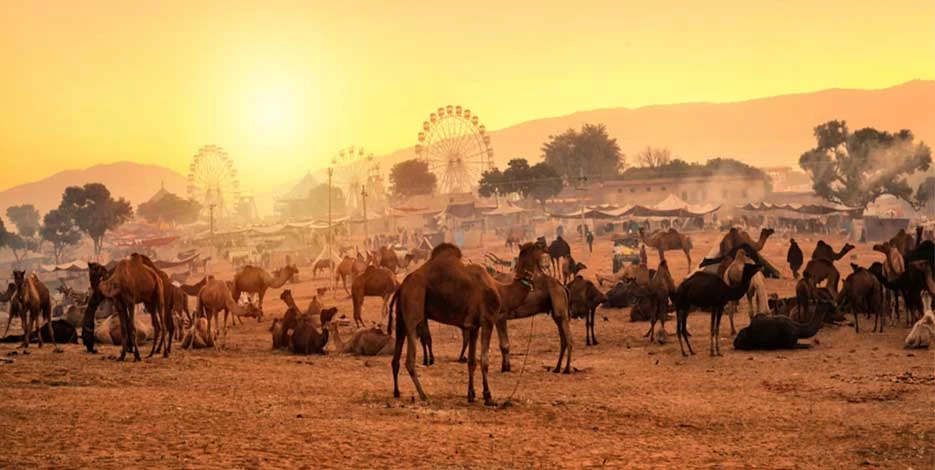 Golden Triangle with Pushkar