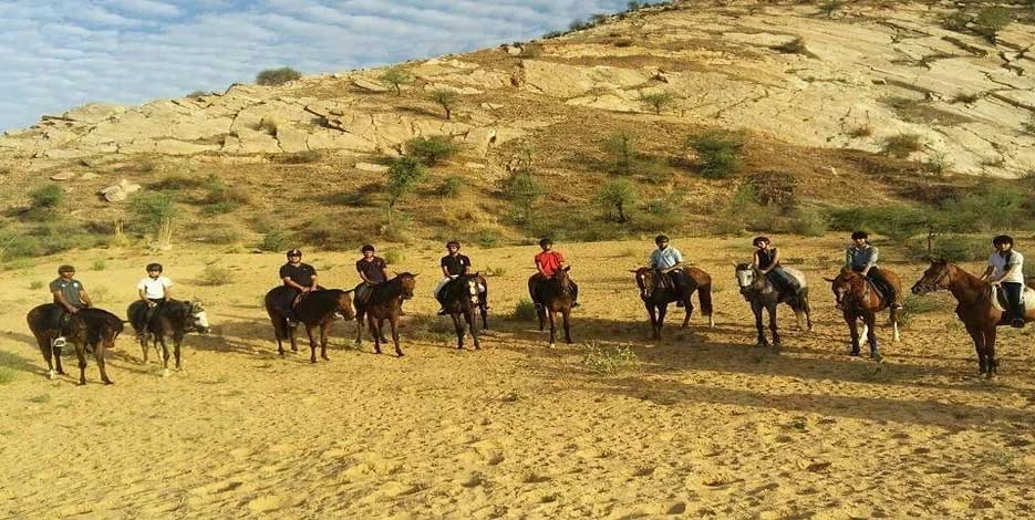 Horse Safari Tour